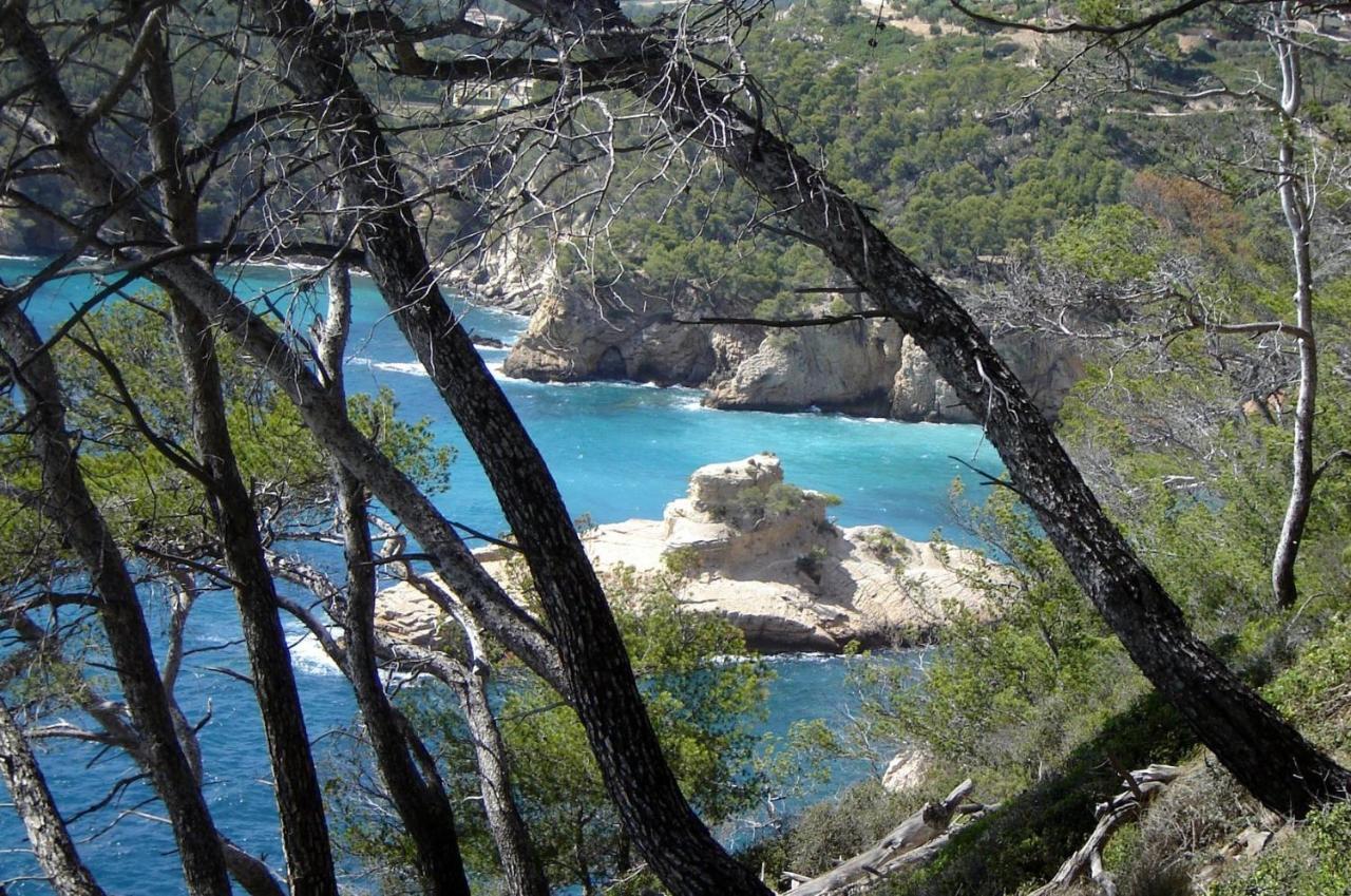 L Annexe 50M De La Plage Bandol Exterior photo